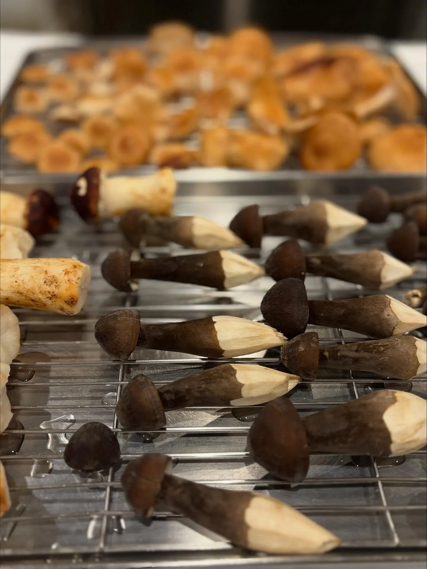 グッと秋になりました！